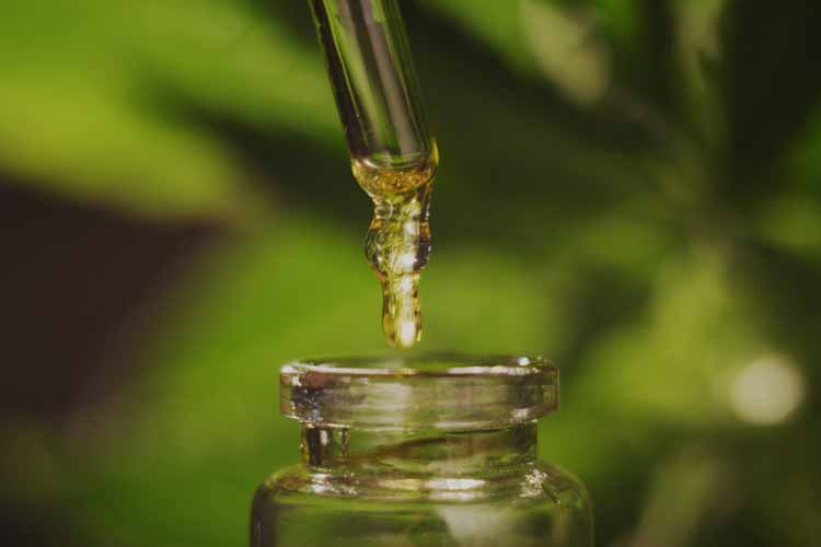 CBD oil